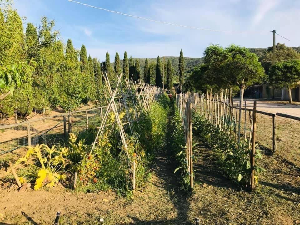 Tenuta Santa Caterina Bed & Breakfast Portoferraio