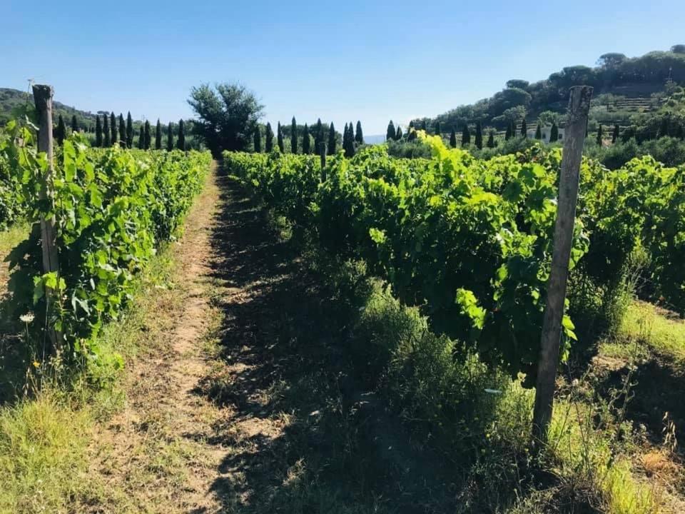 Bed & Breakfast Tenuta Santa Caterina