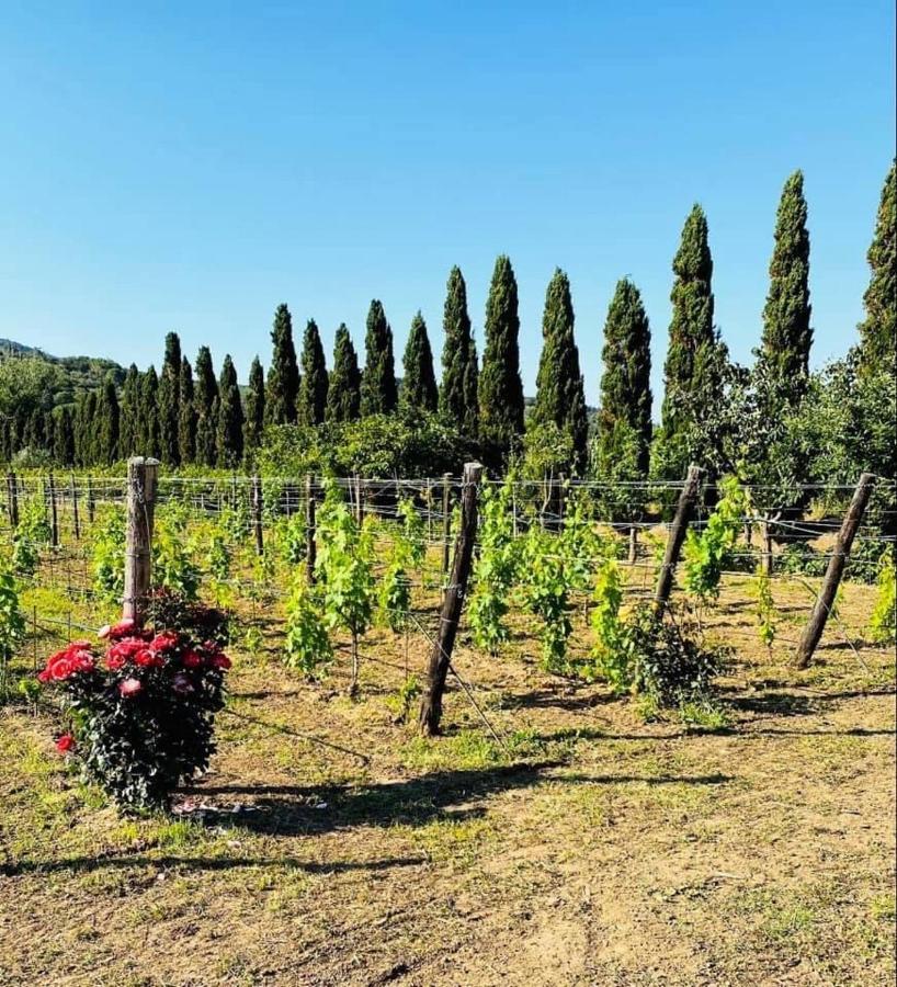 Tenuta Santa Caterina Bed & Breakfast 2*